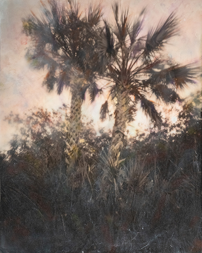 One of my recent encaustic photograghs